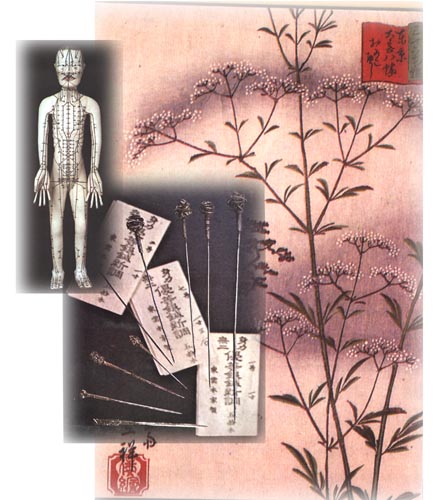 acupuncture instruments