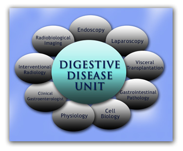 Digestive Diseases